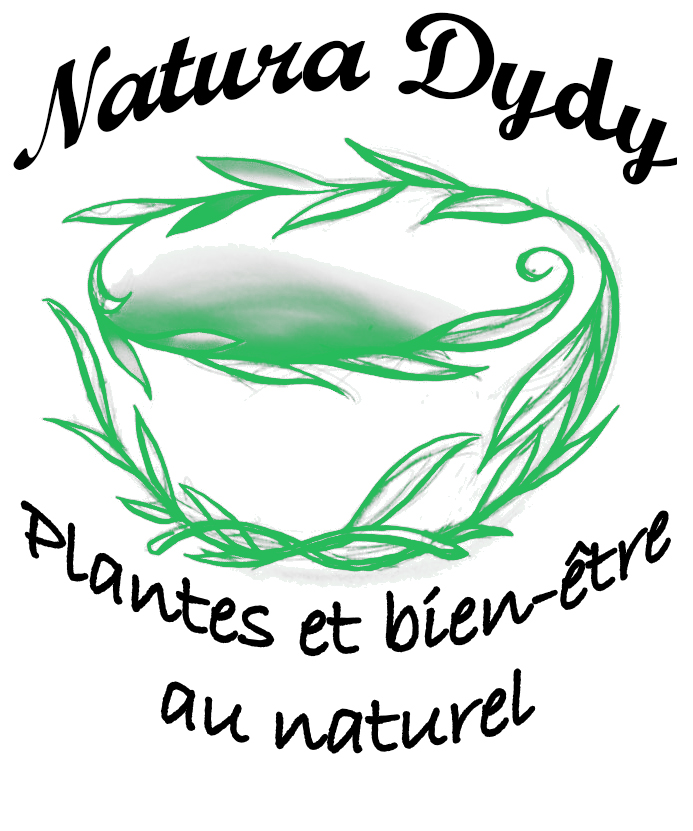logo V2 LOGO NATURADYDY